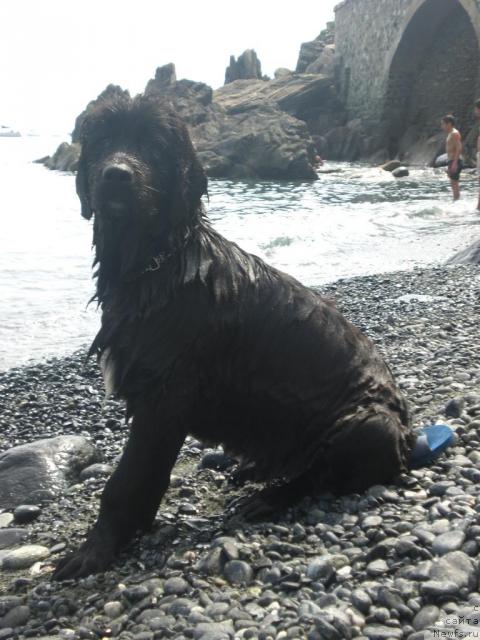 Фото: Ботсман