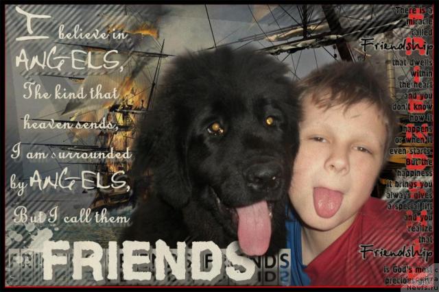 Фото: Ботсман