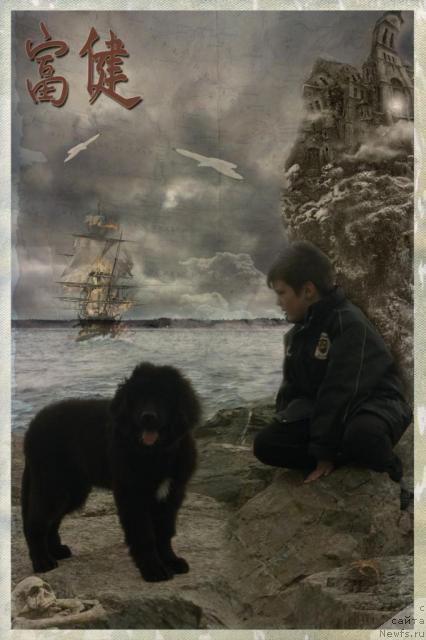 Фото: Ботсман