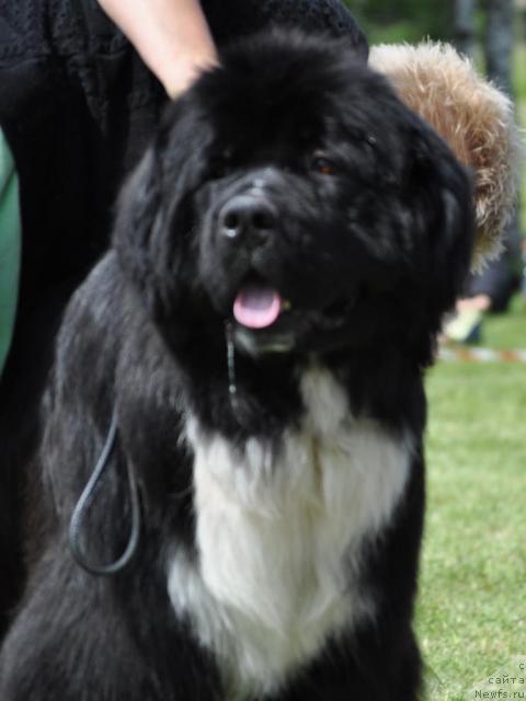 Фотография № 44097