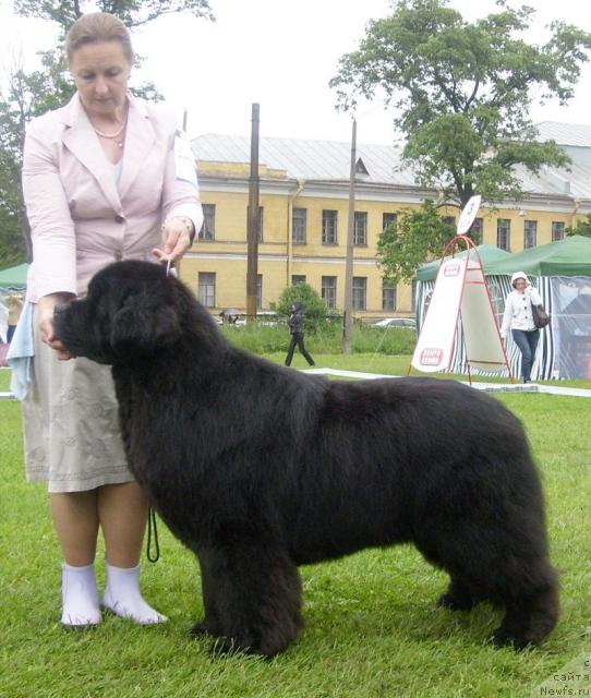 Фотография № 44111