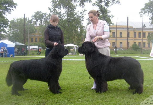 Фотография № 44113