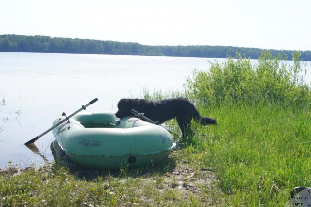 Фотография № 44127