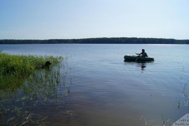 Фотография № 44128