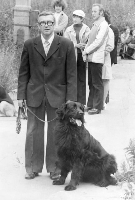 Фото: ньюфаундленд Габи Морфи