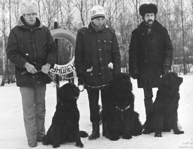 Фото: ньюфаундленд Гитбуш Сильва, ньюфаундленд Эсмиральда Си  д'Оливье (E'Smiralda Si d'Olive), ньюфаундленд Эльза Си д'Оливье