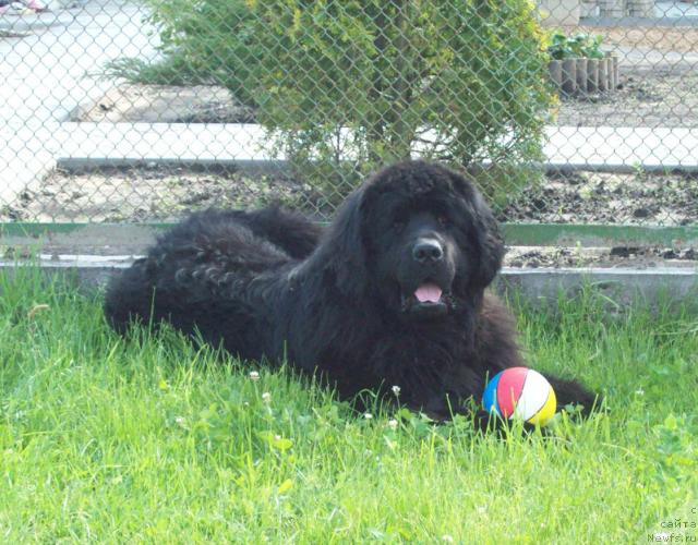 Фотография № 44214