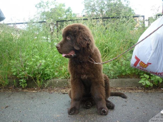 Фотография № 44216