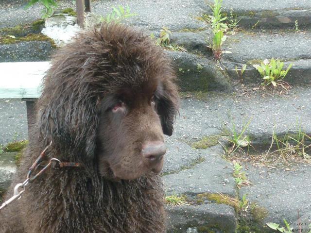 Фотография № 44218