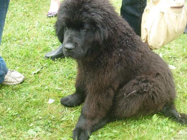 Фотография № 44225