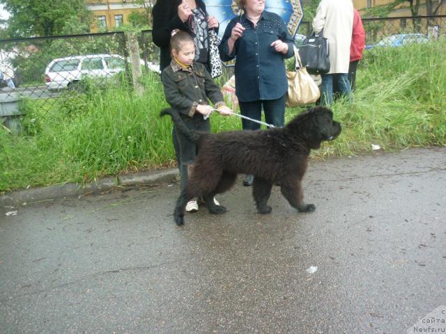 Фотография № 44226