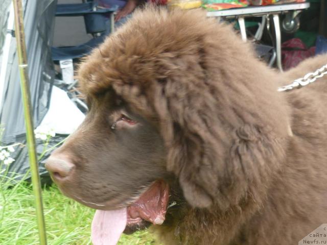 Фотография № 44230