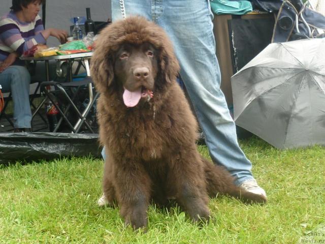 Фотография № 44231