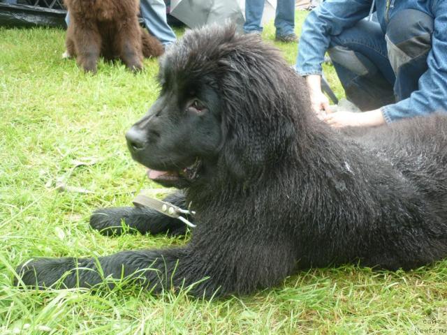 Фотография № 44235