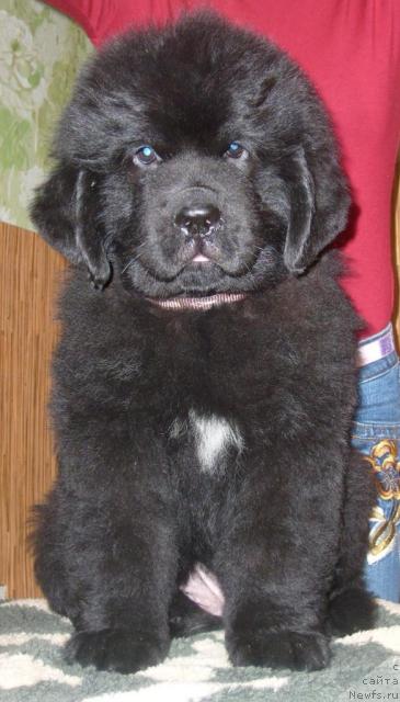 Фото: Бегущая по волнам ХЭНД МЭЙД