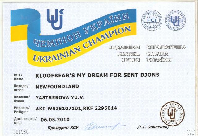 Фото: ньюфаундленд Kloofbears My Dream for Sent Djons