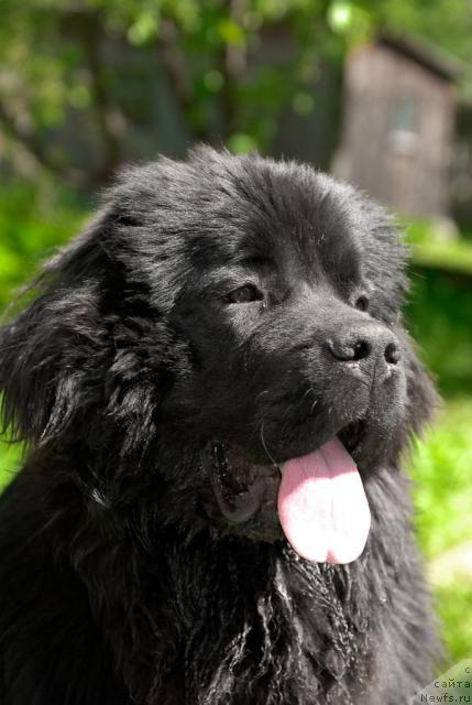 Фотография № 44287