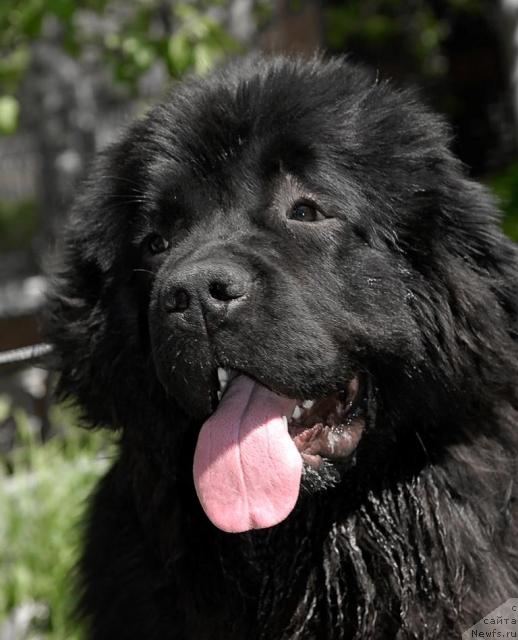 Фотография № 44291