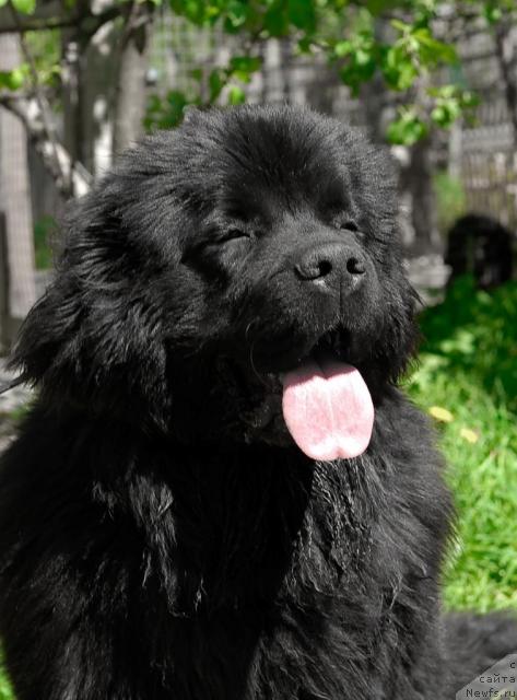 Фотография № 44293