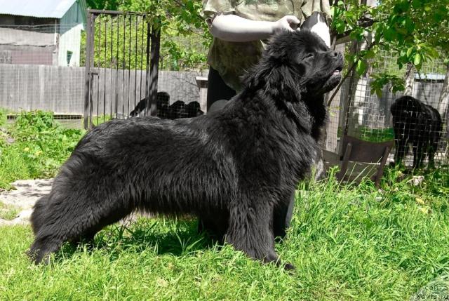 Фотография № 44295