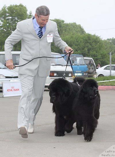 Фотография № 44296