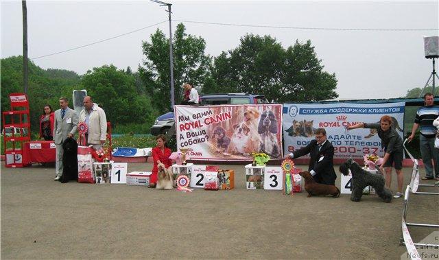 Фотография № 44300