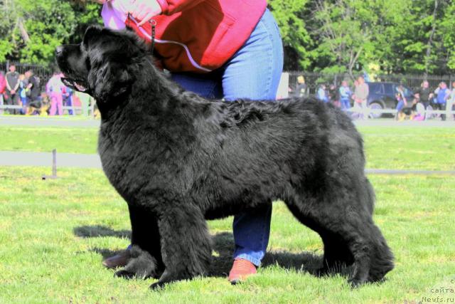 Фотография № 44315