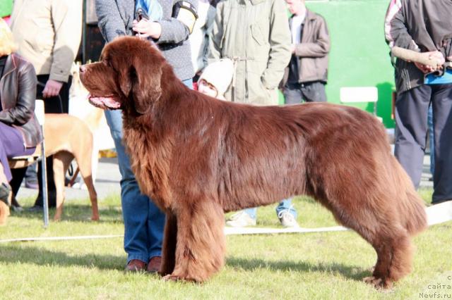 Фотография № 44317