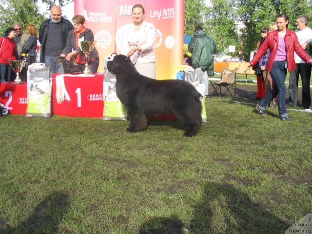 Фотография № 44365