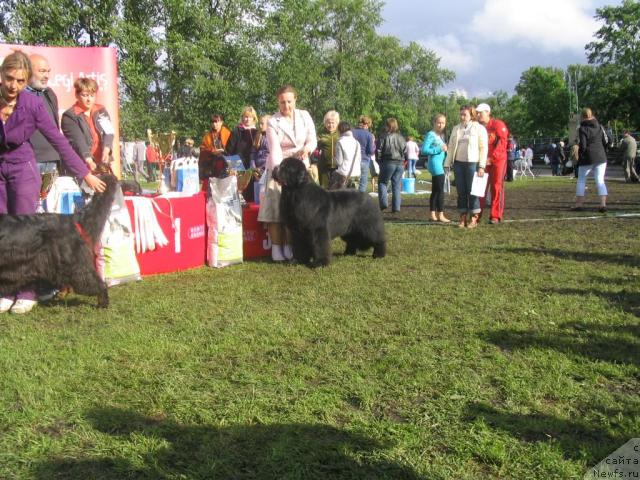 Фотография № 44366