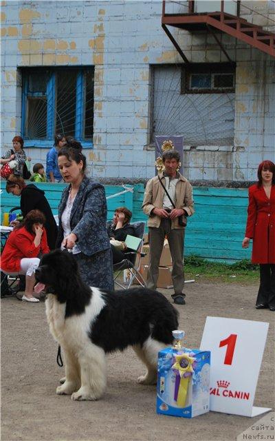 Фотография № 44406