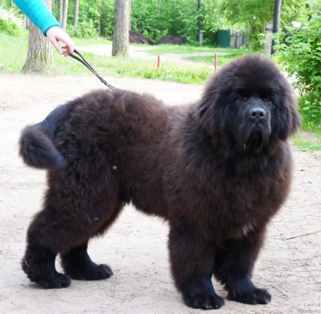 Фотография № 44461