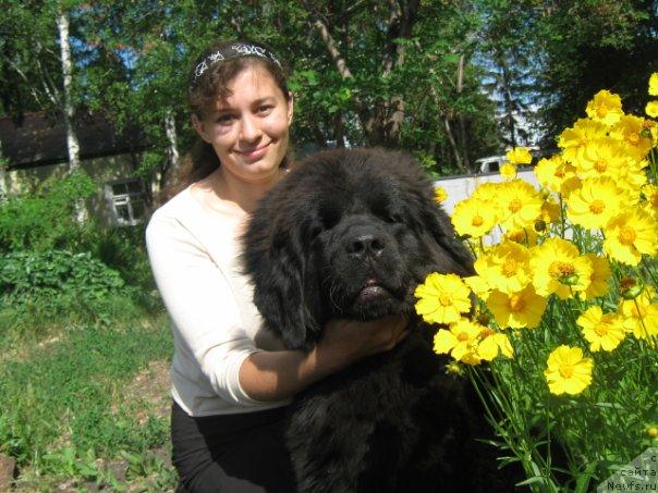 Фото: Дарья Гусынина