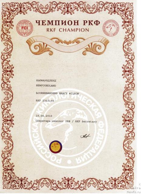 Фото: ньюфаундленд Bjornebandens Nancy Wilson