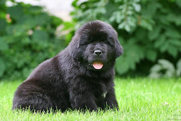 Фотография № 44514