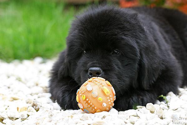 Фотография № 44517