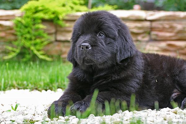 Фотография № 44518