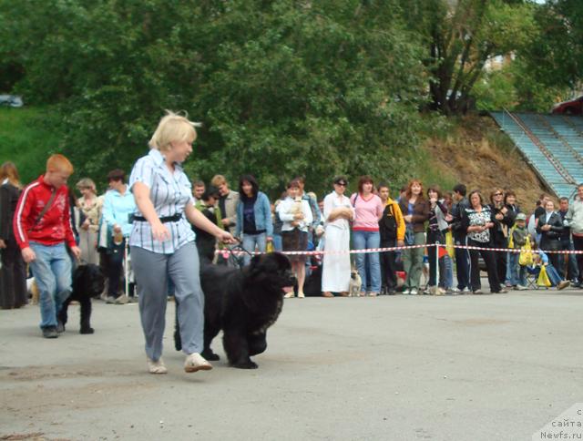 Фотография № 44523