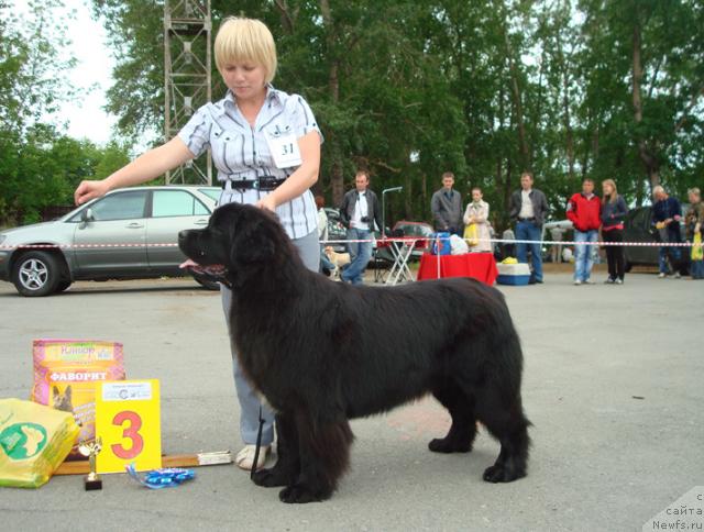 Фотография № 44525