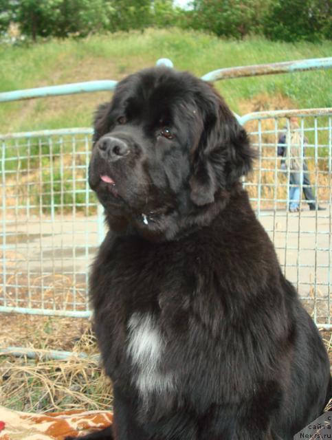 Фотография № 44529