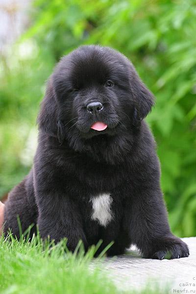 Фотография № 44534