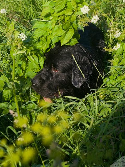 Фотография № 44539