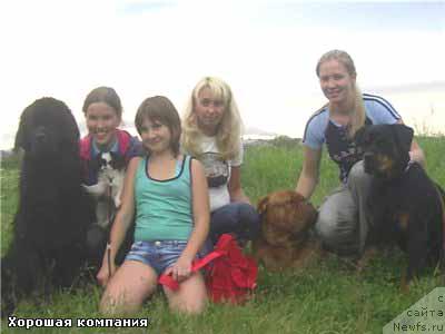 Фото: ньюфаундленд Чарующая Ночь от Марлеон Дусвик (Charuyuschaya Noch ot Marleon Dusvik), Анастасия Мищенко