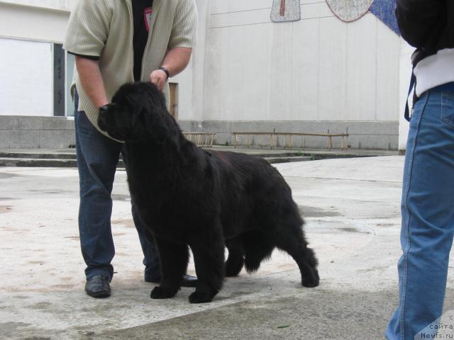 Фотография № 44638