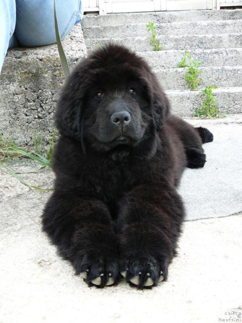 Фотография № 44646