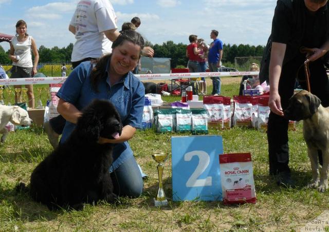 Фотография № 44648