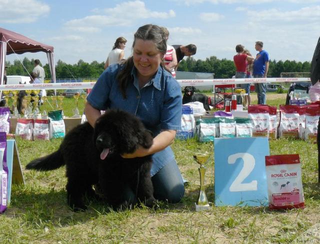 Фотография № 44651