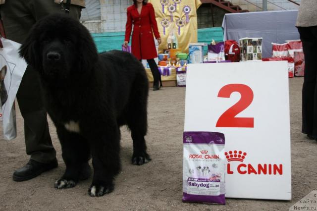 Фотография № 44694