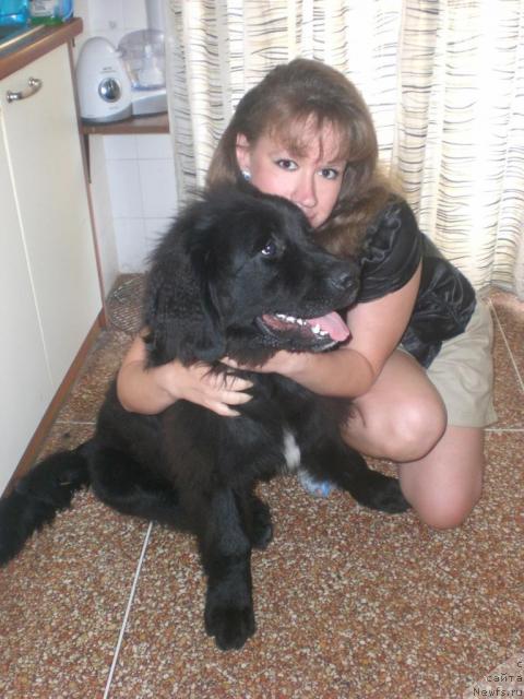 Фото: Ирина Вершинина