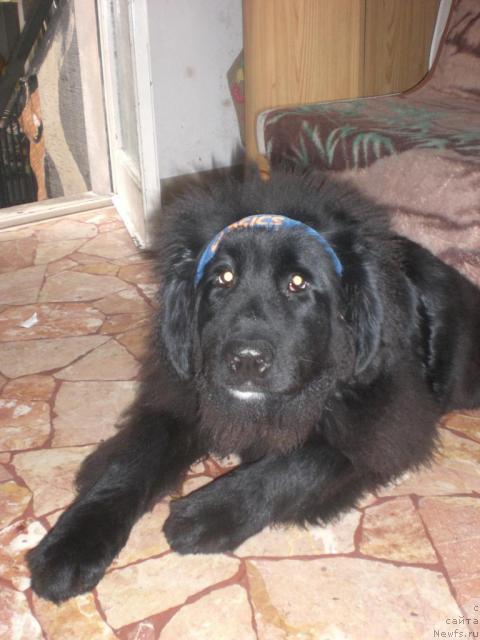 Фото: Ботсман